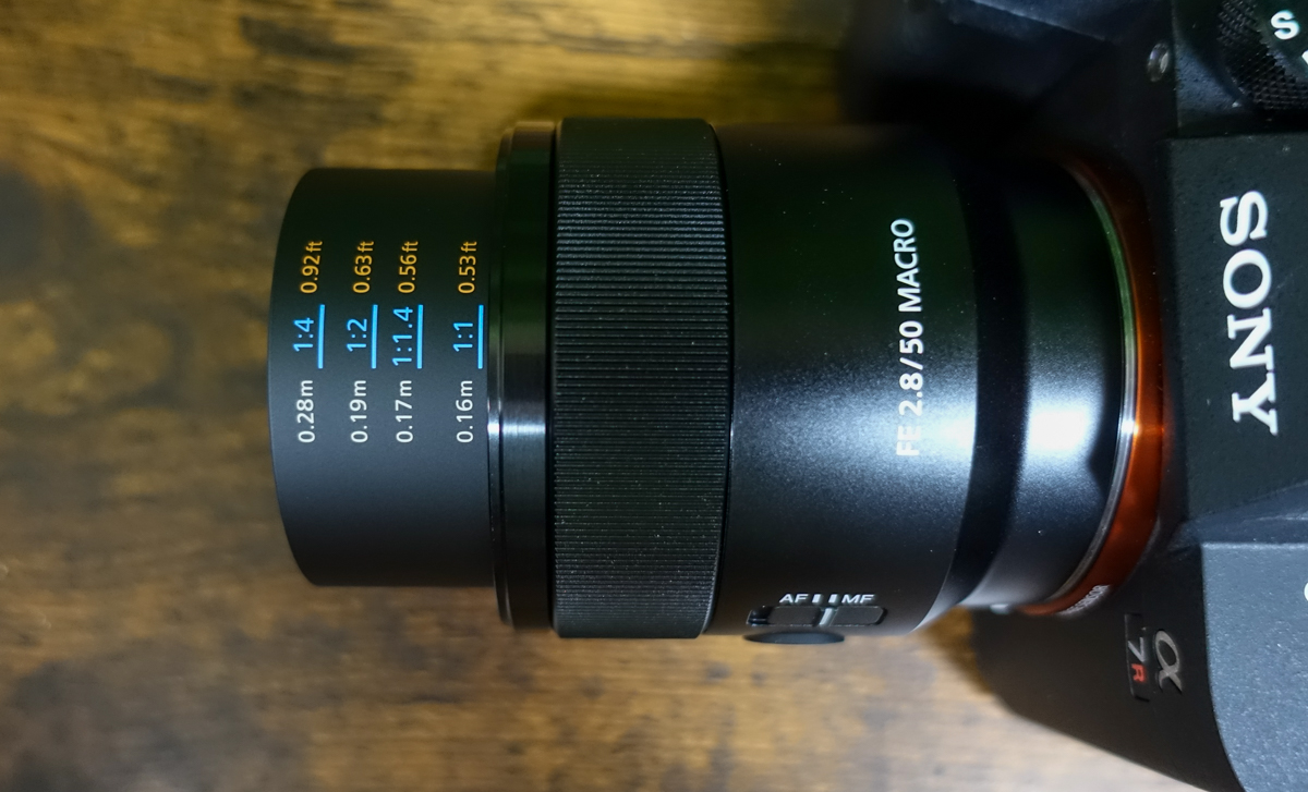 カメラ レンズ(単焦点) SONY SEL50M28レンズ FE50mm F2.8 Macro｜寄れるフルサイズ対応E 